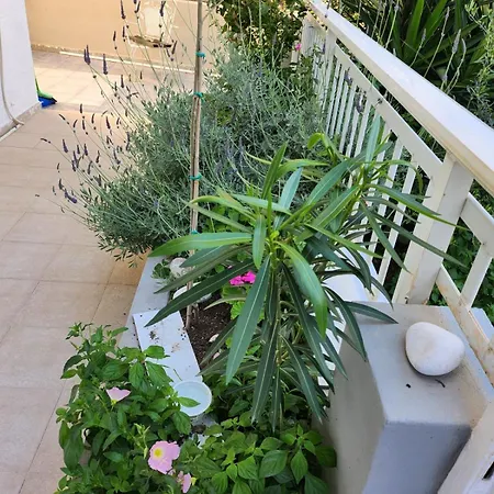 House Rosi In Rodos Lejlighed *